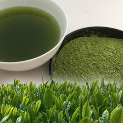 画像1: ★新茶の有機粉末煎茶（70g）