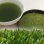 画像1: ★新茶の有機粉末煎茶（70g） (1)