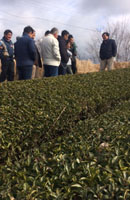 画像: 有機茶栽培の勉強会