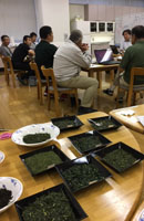 画像: 有機茶の栽培技術勉強会